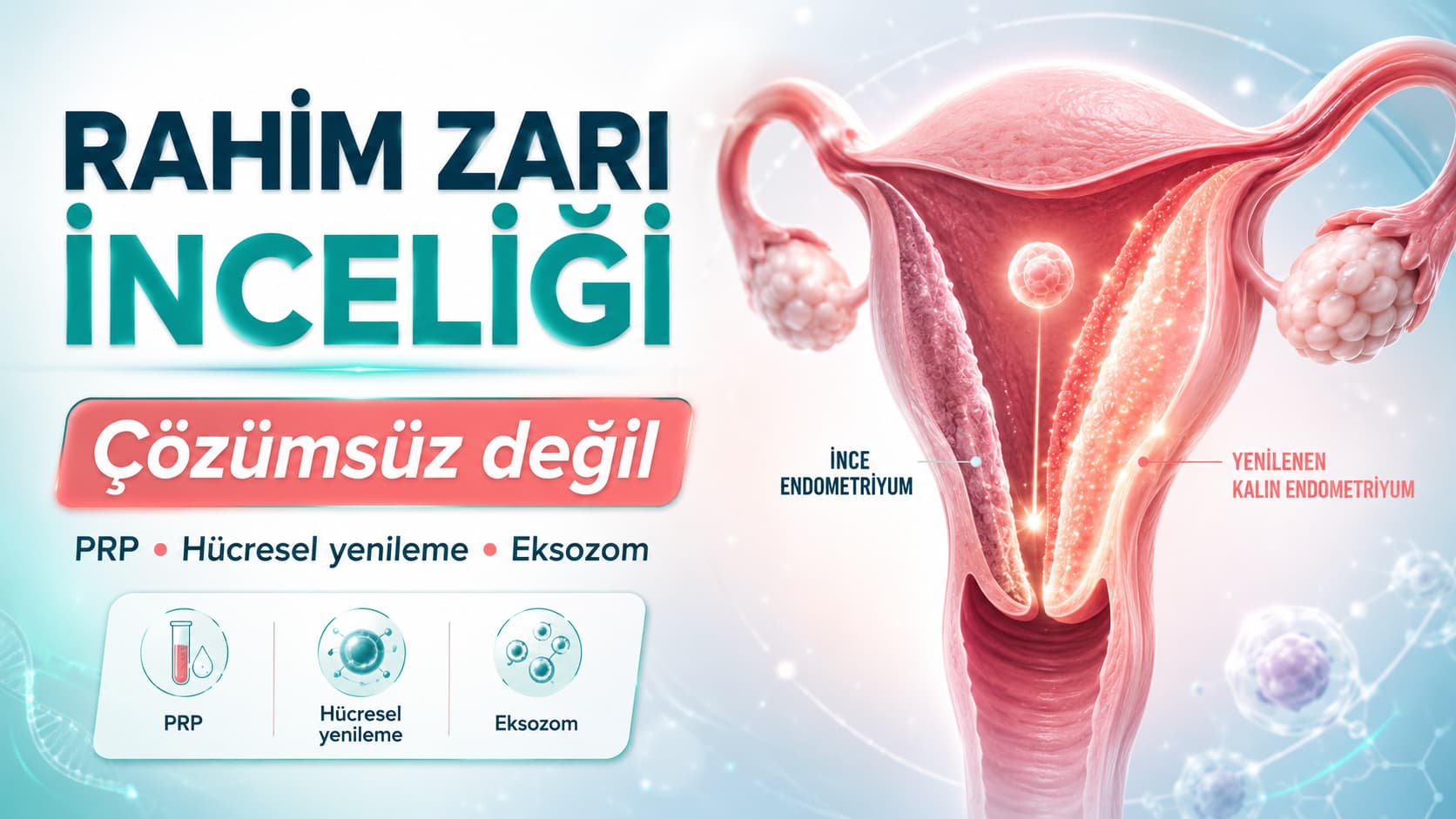 İnce Rahim Duvarı Tüp Bebek Tedavisine Engel Mi?